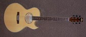 Washburn EA20SD with OHC