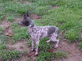 Enlarge photo 14