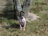 Enlarge photo 10