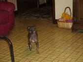 Enlarge photo 17