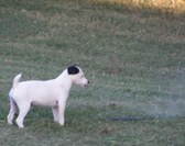 Enlarge photo 7
