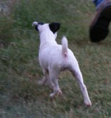Enlarge photo 10