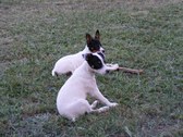 Enlarge photo 12