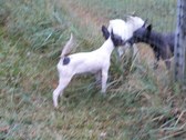 Enlarge photo 10