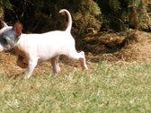 Enlarge photo 36