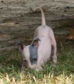 Enlarge photo 32