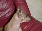Enlarge photo 11