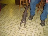 Enlarge photo 9
