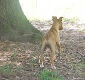 Enlarge photo 14