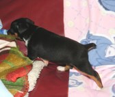 Enlarge photo 15