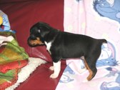 Enlarge photo 16