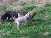 Enlarge photo 30