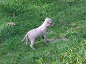 Enlarge photo 29