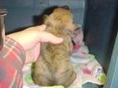 Enlarge photo 37
