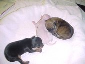 Enlarge photo 32