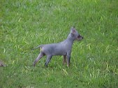 Enlarge photo 11