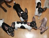 Enlarge photo 15