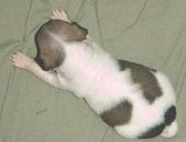 Enlarge photo 12