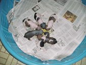 Enlarge photo 22