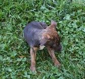 Enlarge photo 22