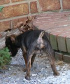 Enlarge photo 11