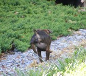 Enlarge photo 20