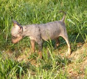 Enlarge photo 11