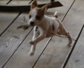Enlarge photo 26