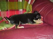 Enlarge photo 9