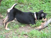 Enlarge photo 15