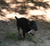 Enlarge photo 23