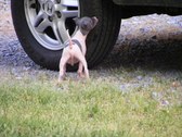 Enlarge photo 16