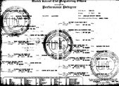 Enlarge PDF 8
