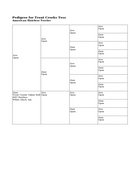 Enlarge HTML Document 15