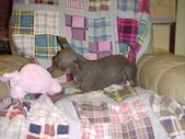 Enlarge photo 28