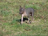 Enlarge photo 19