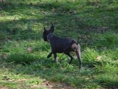 Enlarge photo 13