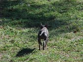 Enlarge photo 18