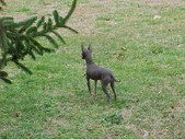 Enlarge photo 11