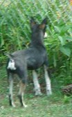 Enlarge photo 17
