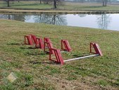 SteepleChase Jumps