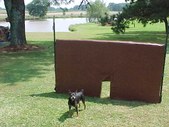 The Barrier