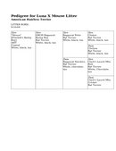 Enlarge HTML Document 13