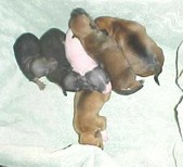 Enlarge photo 13