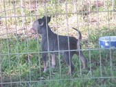 Enlarge photo 12