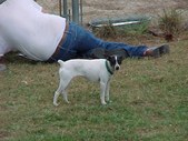 Enlarge photo 8