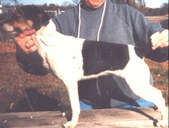 Enlarge photo 10