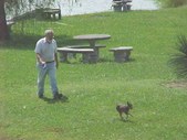 Enlarge photo 48