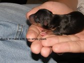 Enlarge photo 12