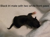 Enlarge photo 20